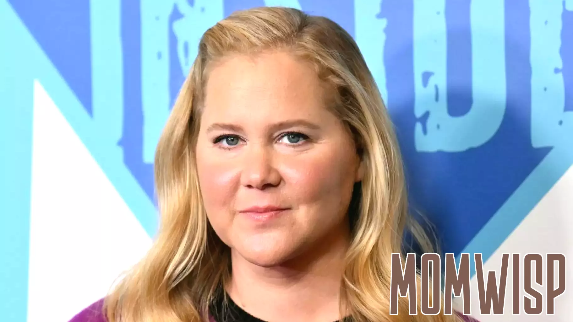 Amy Schumer Reveals Brilliant Snow-Day Parenting Trick